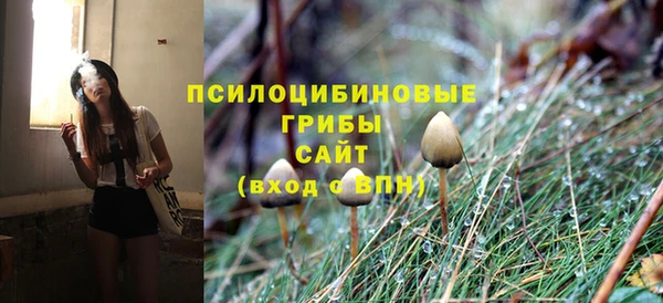 каннабис Богородицк